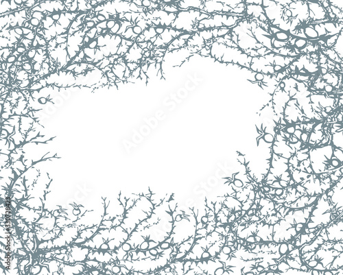 Branch of Blackthorn. Vector drawing
