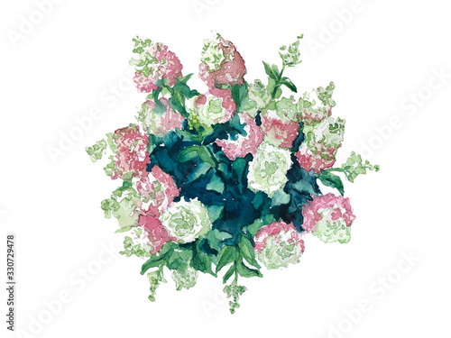 Blooming hydrangea panicle bush top view for landscape design watercolor drawing
