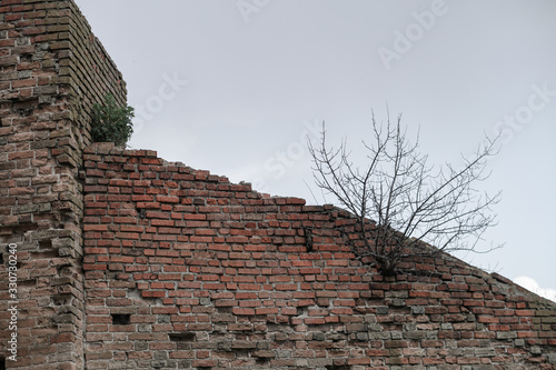 Wallpaper Mural Decayed abandoned buildings. The epidemic destroyed humanity. After the war. Torontodigital.ca
