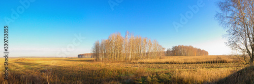 panoramic view of the agricultural land in early spring