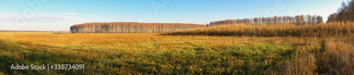 panoramic view of the agricultural land in early spring