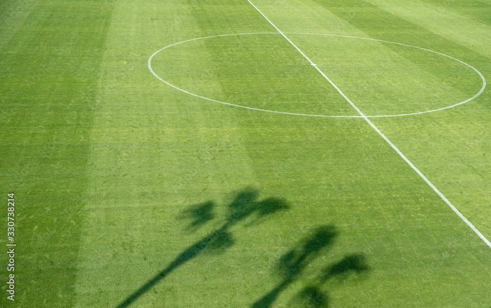 Obraz premium Shade from palm trees on a football pitch lawn