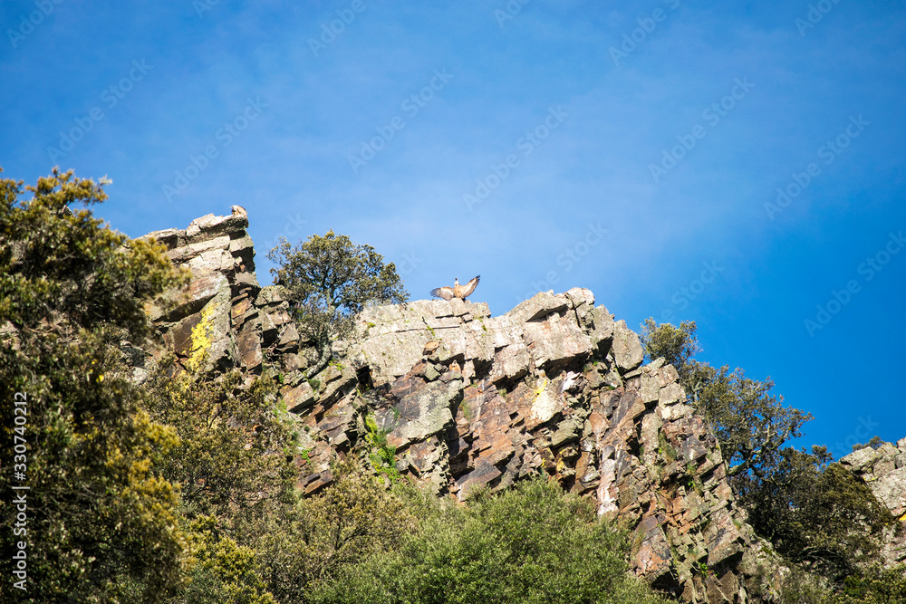 Naklejka premium Monfragüe