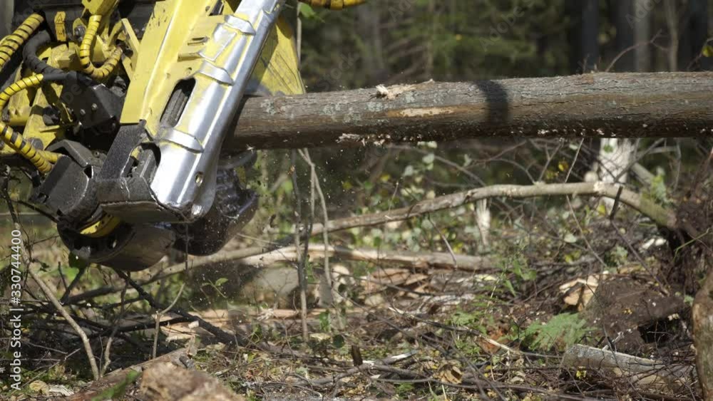A log harvester cutting out the logs on the forest during the sunny summer season