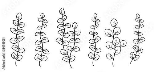 black hand drawn branches with leaves collection