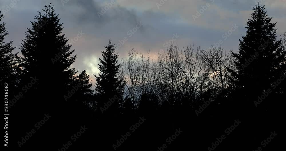 Stormy sky and forest, Auvergne, France. Stormy sky and forest, Auvergne, France.