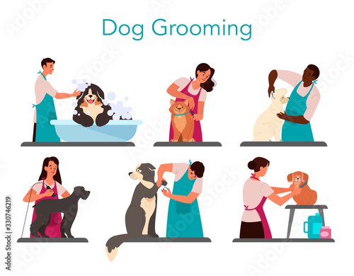 Collection of professional barber grooming dog. Woman and man