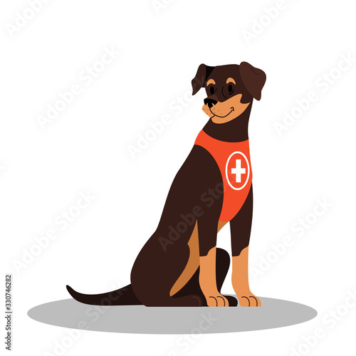 Dogs rescuer, Pinscher breed. Cadaver dog for finding people.