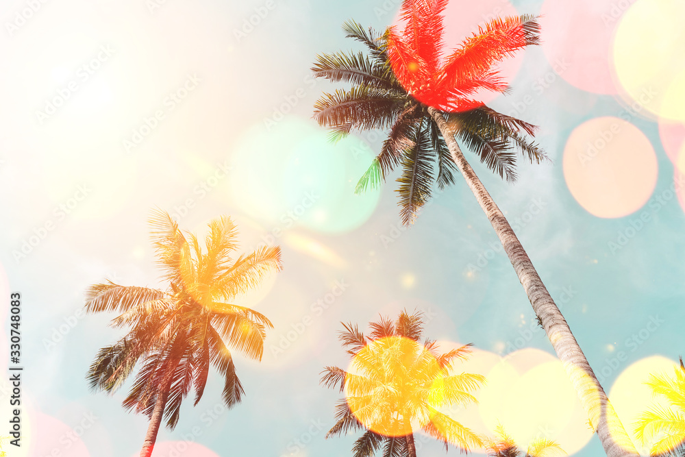 Tropical palm tree on blue sky with colorful bokeh light abstract background. Summer nature season and travel holiday concept.