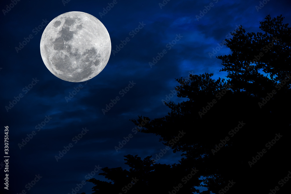 Full moon on blue sky with silhouette tree at night. Full moon on blue sky with silhouette tree at night.
