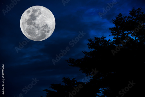 Full moon on blue sky with silhouette tree at night.