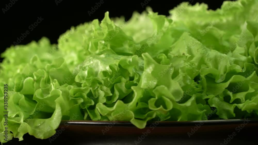 fresh green lettuce leaves close up rotating on black background fresh green lettuce leaves close up rotating on black background