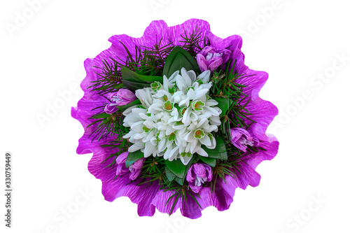 Snowdrop flowers bouquet with fir twigs