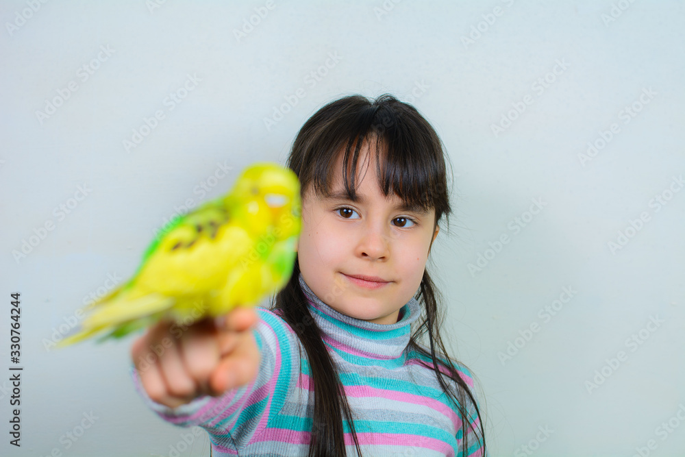 Cool budgie. A cute yellow budgerigar is sitting on the hand of a girl with long hair. Tamed Pet Cool budgie. A cute yellow budgerigar is sitting on the hand of a girl with long hair. Tamed Pet