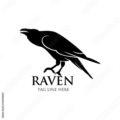 raven logo icon vector design template