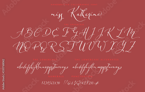 Hand drawn callygraphic font vector alphabet set photo