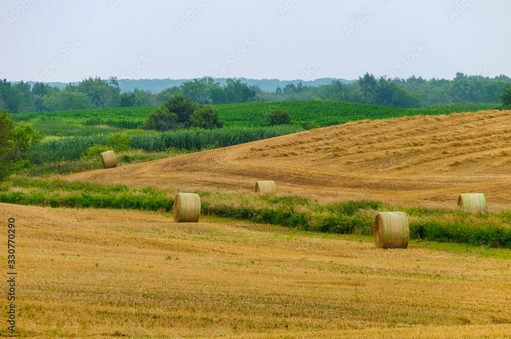 Round hay or straw bales in a freshly harvested field