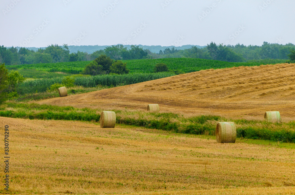 Round hay or straw bales in a freshly harvested field Round hay or straw bales in a freshly harvested field