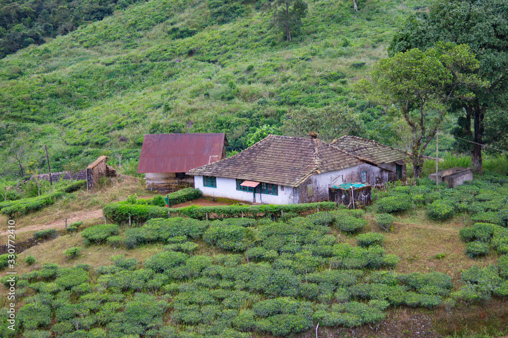 Fototapeta premium A holiday resort in a mountainous village in kerala in india