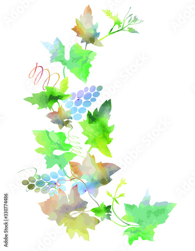 Watercolor grapes