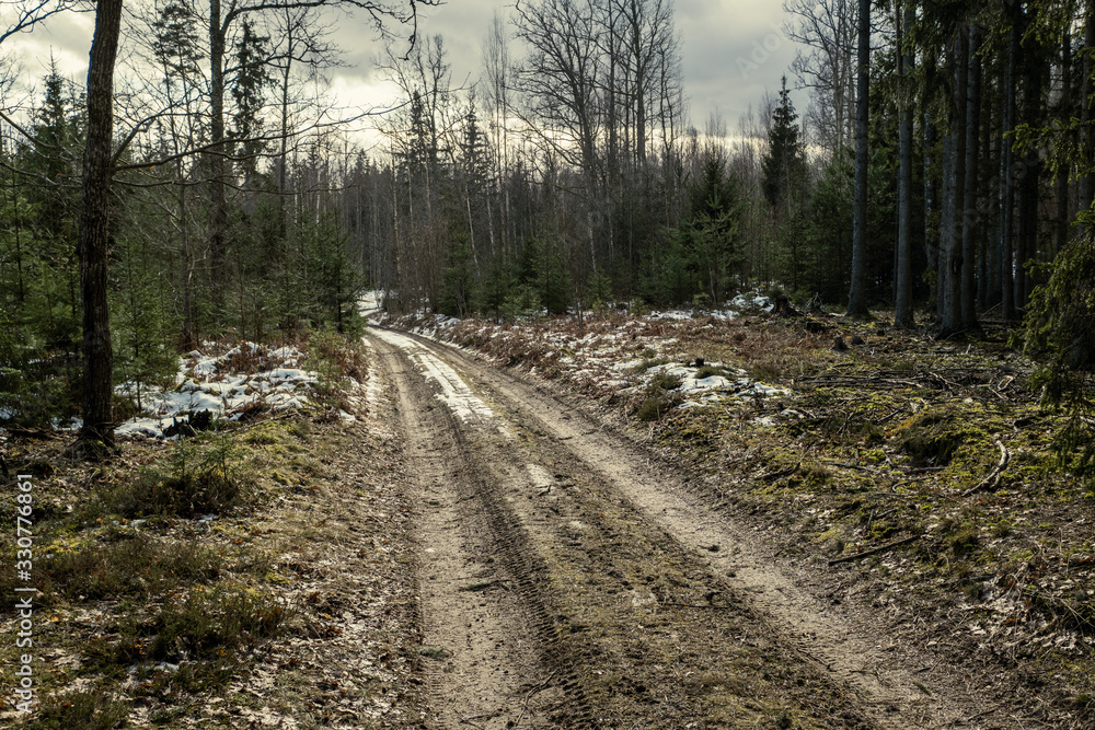 Obraz premium gravel dirt road in the forest