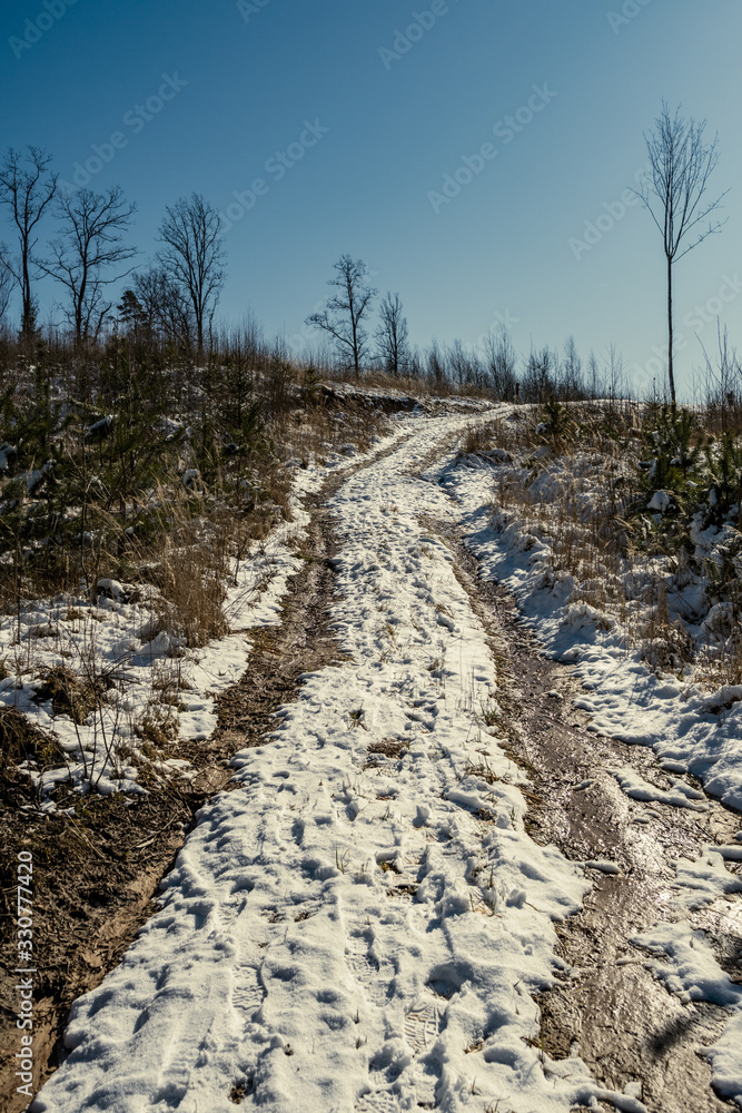 snowy pathway for walking in forest in winter