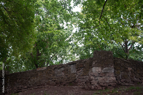 stairs in the garden