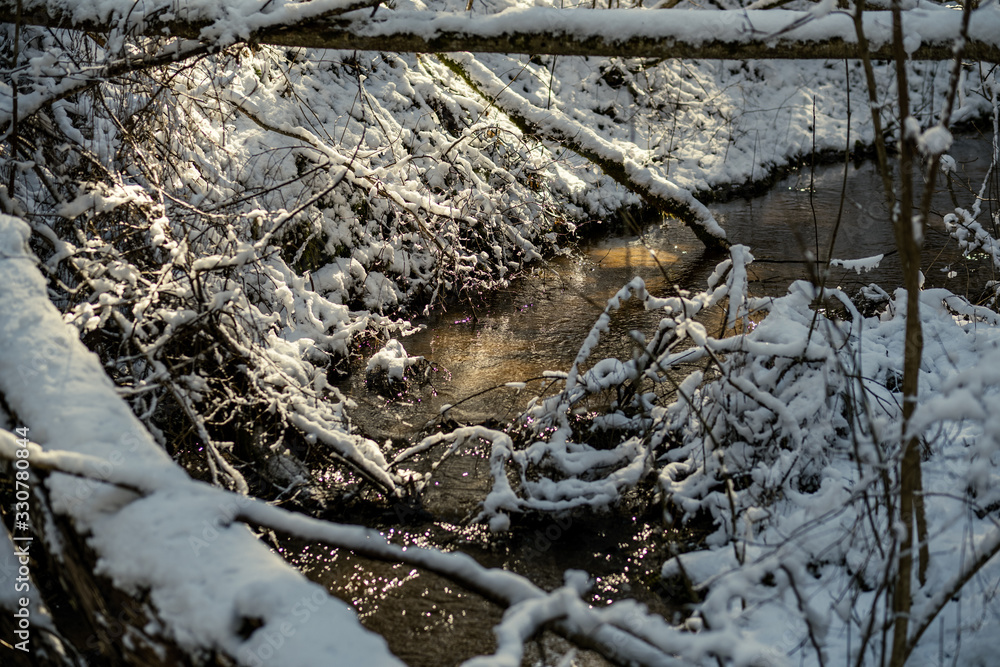 snow covered tree trunks and vegetation in abstract lush texture snow covered tree trunks and vegetation in abstract lush texture