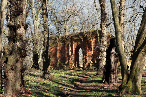 medieval church ruins in spring forest