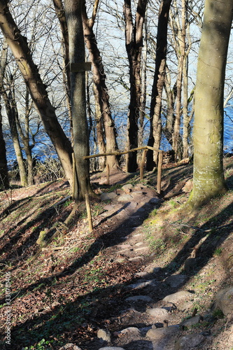 Descent to the shore of Vistula lagoon in Kaliningrad region Russia
