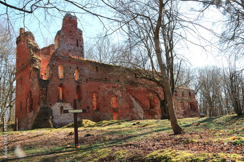 ruins of the castle of the knights of the Teutonic Order among the forest photo