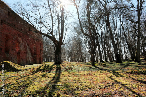 ruins of the castle of the Knights of the Teutonic Order in the rays of the spring sun