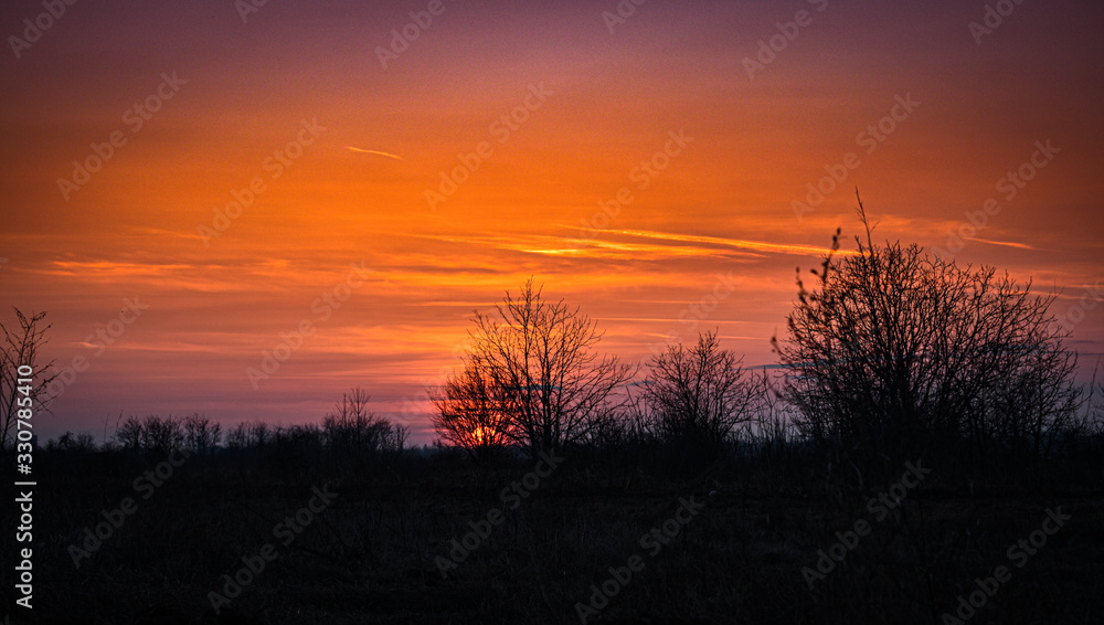 Fototapeta premium Sunset light with Tree branch frame in the golden hour.