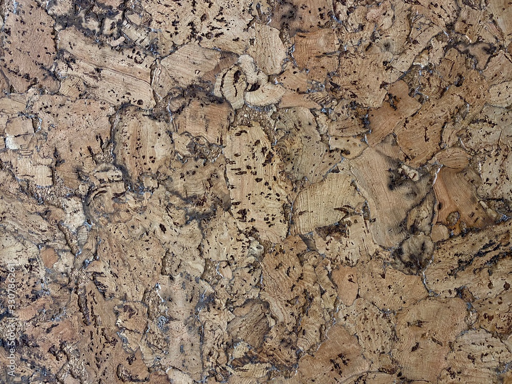 Natural wooden pith a texture a beige background Natural wooden pith a texture a beige background