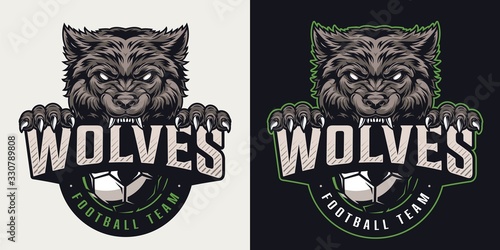 Vintage football team colorful logo