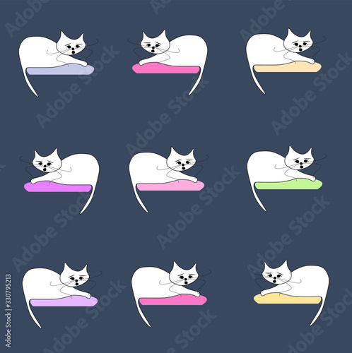 PE or yoga class with cats