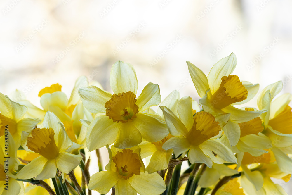 Bouquet of yellow daffodils. In a vase on the window. Spring flowers, background. Beauty Bouquet of yellow daffodils. In a vase on the window. Spring flowers, background. Beauty