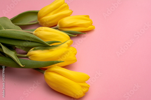 Fototapeta Naklejka Na Ścianę i Meble -  Yellow tulips flowers on a pink background. Waiting for spring. Happy Easter card. Flat lay, top view. Copy space for text