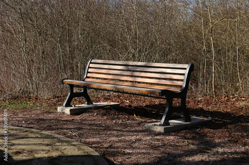 Bench in the park. Wooden bench for rest