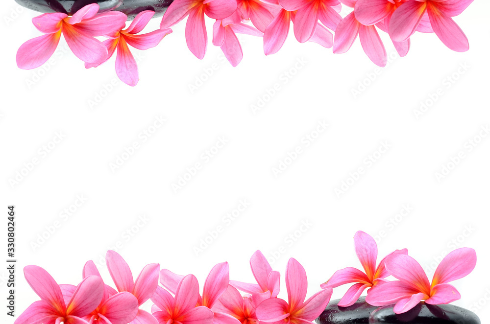 Frames with frangipani flowers over white background Frames with frangipani flowers over white background
