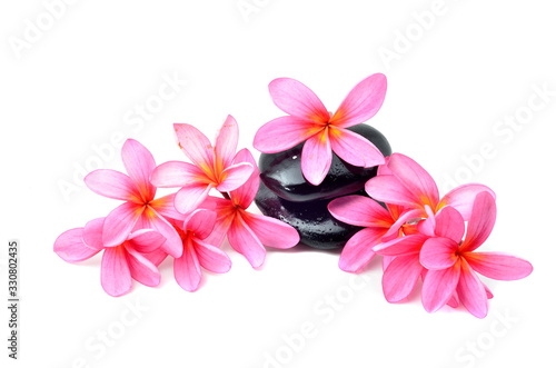Frames with frangipani flowers over white background