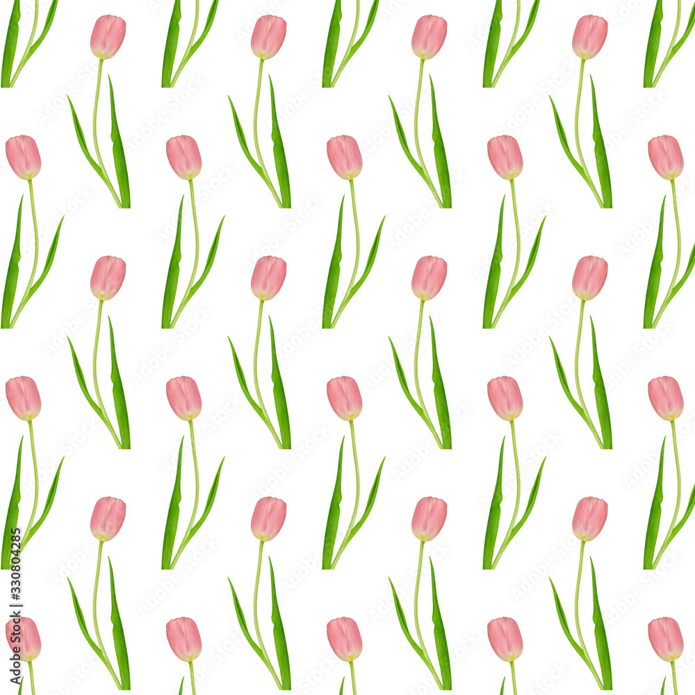Pattern wonderful pink tulips on a white Pattern wonderful pink tulips on a white