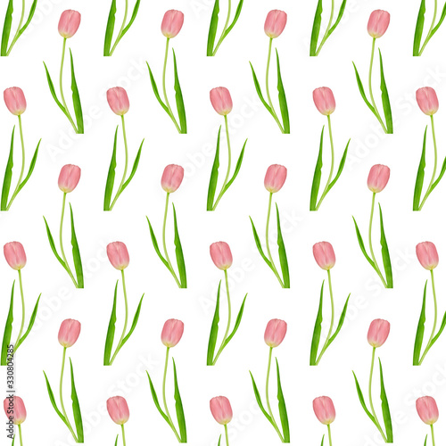 Pattern wonderful pink tulips on a white