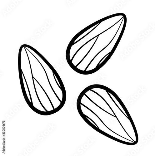 Cartoon style almond in black lines on white background