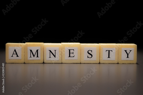 The word AMNESTY written on wooden cubes, isolated on a black background...