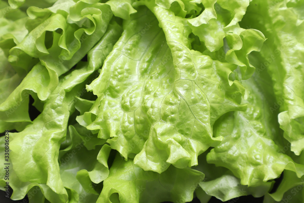 Green lettuce leaves. Vegetables on a black textured background. Green lettuce leaves. Vegetables on a black textured background.