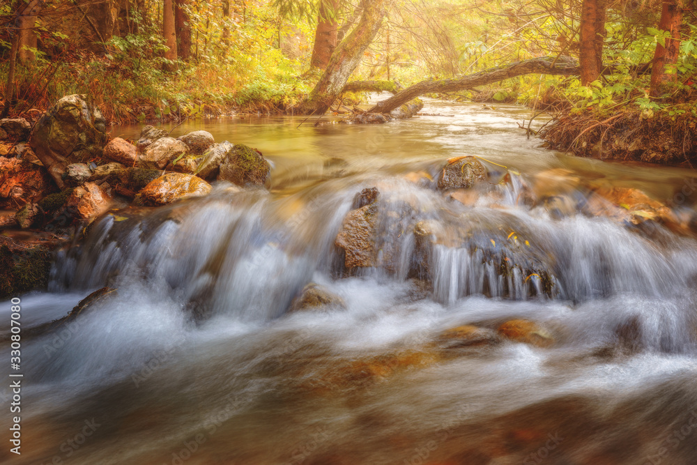 River in the forest during autumn