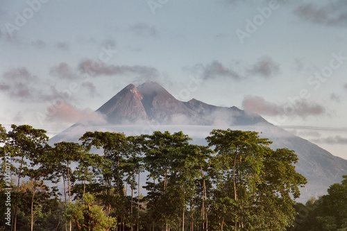 View of Merapi mountain above the trees