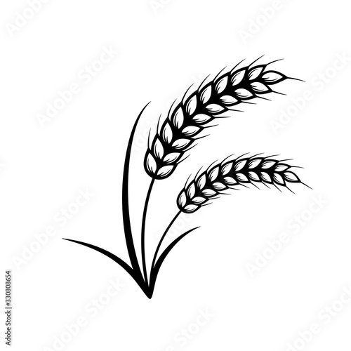 Ears of wheat icon set. Vector elements for design