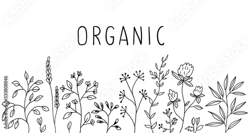 Herbal border with Organic slogan. Perfect lettring for postcards or other printing design